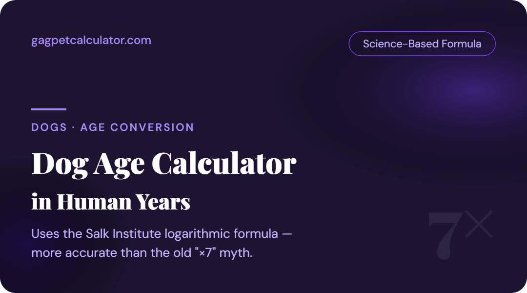 Dog Age in Human Years: The Complete AAFP-Based calculator (2026)